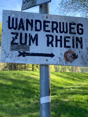 IMG_4706.jpeg
