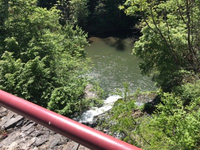 1DD34200-DE12-4A81-9C9E-505D911D43E6.jpeg