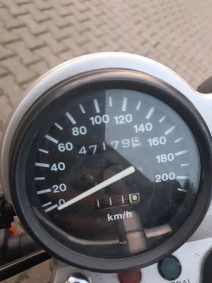 5472387865750138401.jpg