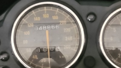 5188627957848079562.jpg