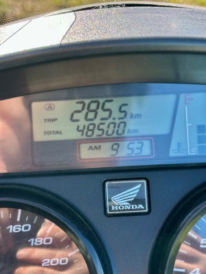 IMG_5026.jpeg