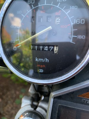IMG_6529.jpeg