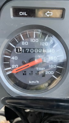 IMG_8759.jpeg