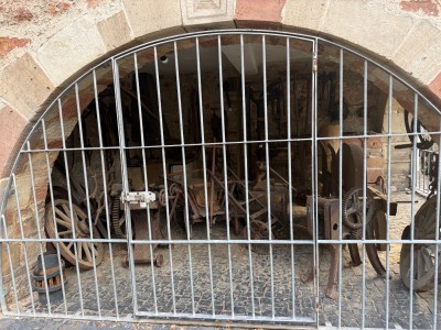 IMG_7410.jpeg