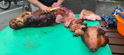 IMG_20260815_185948.jpg