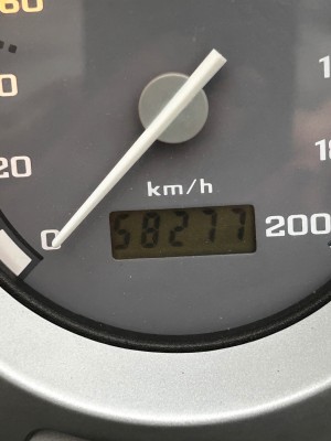 IMG_1015.jpeg