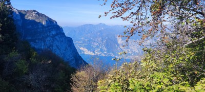 IMG_20261004_104851.jpg