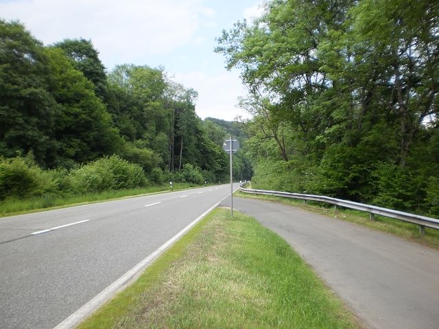 k-P6080274.JPG