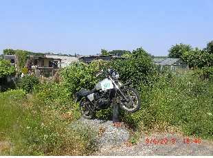 Bonuspunkt 010.jpg
