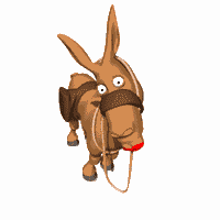 Esel küsst.gif