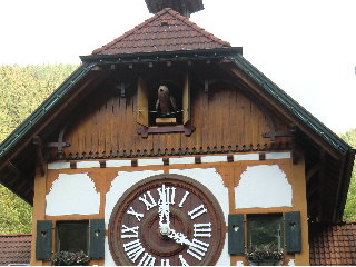 Kuckuck 1.jpg