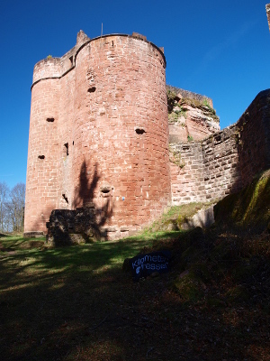 Burgruine Neudahn