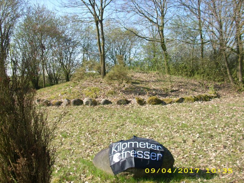 Hügelgrab am Hexenberg, Nähe Flugplatz Ganderkesee, N53.03796, E8.51322_kl.jpg
